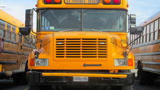 School Bus Driver Gets Canned for Allegedly Allowing Children to Drive